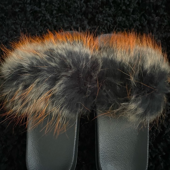 Slide - Picture 2 of 5